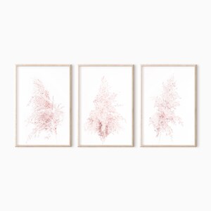 Puede incluir: Conjunto de tres impresiones enmarcadas con delicadas ilustraciones de hierba de la pampa rosa sobre un fondo blanco.