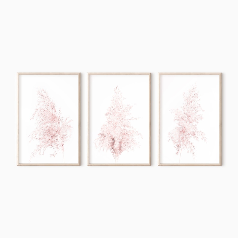 Puede incluir: Conjunto de tres impresiones enmarcadas con delicadas ilustraciones de hierba de la pampa rosa sobre un fondo blanco.