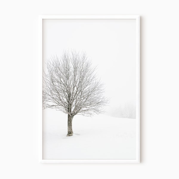 Winter Tree Print | Black And White Snow Tree Print | Modern Minimalist Tree Photography | Snow Scene Snowy Landscape #0908