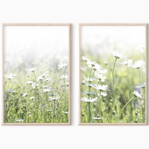 May include: Two framed prints of a field of white daisies in a soft, dreamy, and blurred background. The daisies are in focus and the background is out of focus. The prints are in a light wood frame.