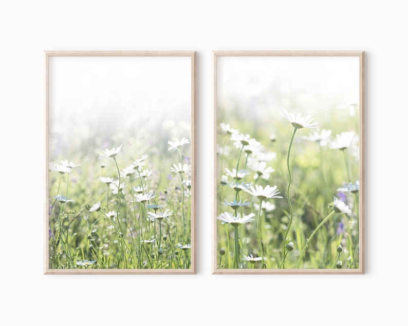 May include: Two framed prints of a field of white daisies in a soft, dreamy, and blurred background. The daisies are in focus and the background is out of focus. The prints are in a light wood frame.