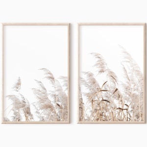 Pampas Grass Print Set Of 2 Farmhouse Decor Printable Art 0325 image 1