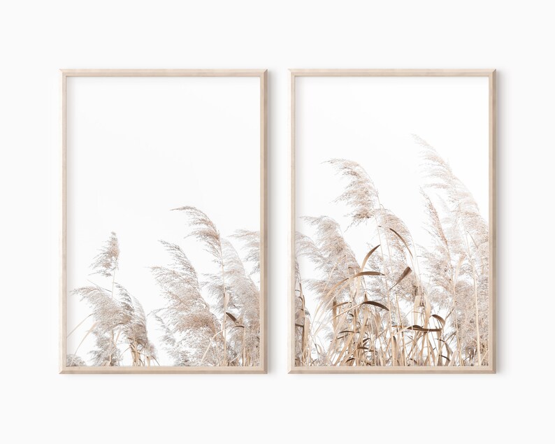 Pampas Grass Print Set Of 2 Farmhouse Decor Printable Art 0325 image 1