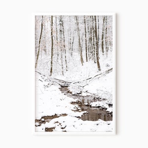 Snowy Forest Print | Winter Landscape | Snow Photography | Printable Winter Wall Art | Instant Download    #1147