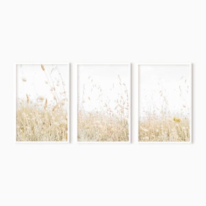 Dried Grass Set Of 3 Prints | Neutral Printable Art    #1218
