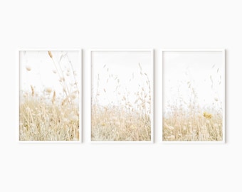Dried Grass Set Of 3 Prints | Neutral Printable Art    #1218