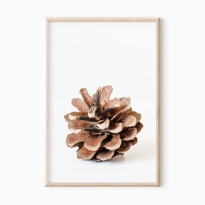 Pine Cone Art Print | Printable Forest Poster DOWNLOAD     #0631