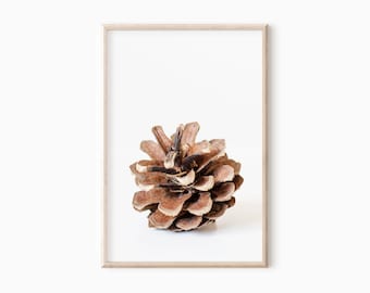 Pine Cone Art Print | Printable Forest Poster DOWNLOAD     #0631