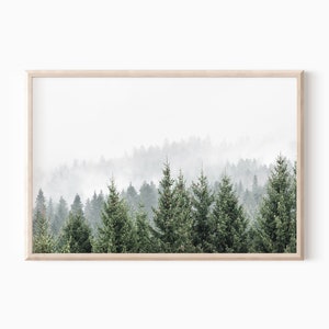 May include: A framed print featuring a misty forest scene. The foreground showcases tall, green evergreen trees, while the background fades into a hazy, light-colored mist. The print is encased in a light-colored wooden frame, creating a natural aesthetic.