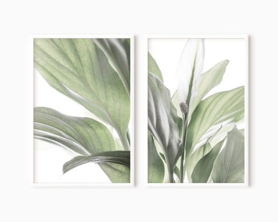 Botanical Print Sets Two Piece Wall Art Green Leaves Wall | Etsy