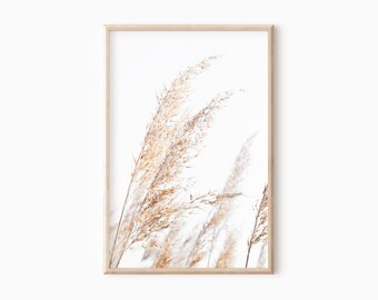 May include: A framed print featuring a close-up of dried pampas grass against a white background. The beige and tan grasses are in soft focus, with a light wooden frame. The artwork evokes a sense of calm and natural beauty.