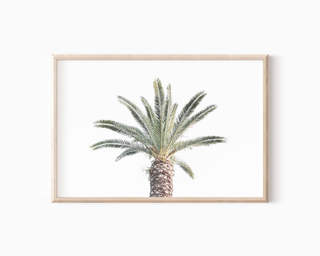 Palm Tree Print | Boho Decor | Tropical Printable Wall Art | Instant ...
