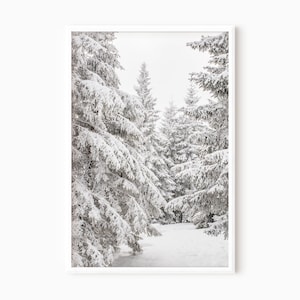 Snowy Pine Trees Wall Art | Printable Winter Forest Print DOWNLOAD     #0625