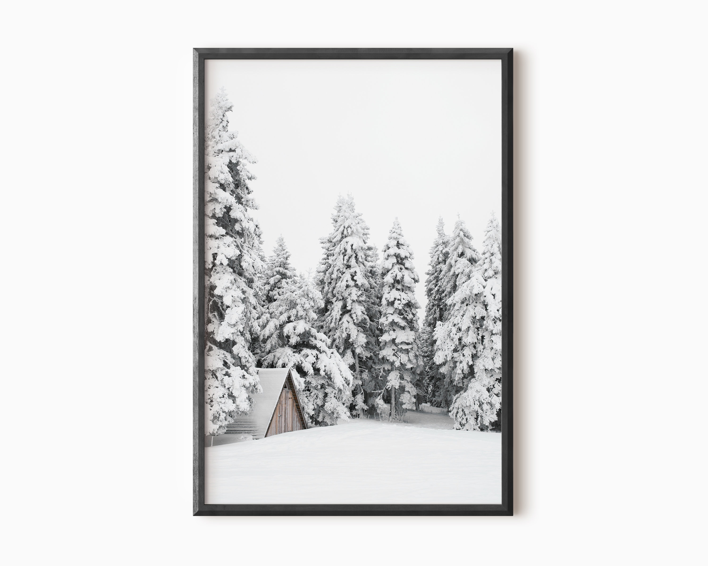 Winter Photography Snowy Pine Tree Winter Forest Winter - Etsy