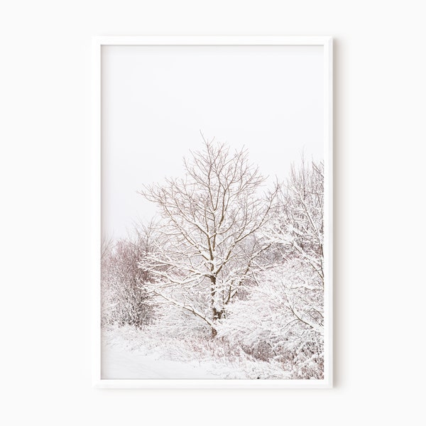 Snowy Tree Art | Winter Forest Landscape | Printable Snow Photography | Instant Download   #0623