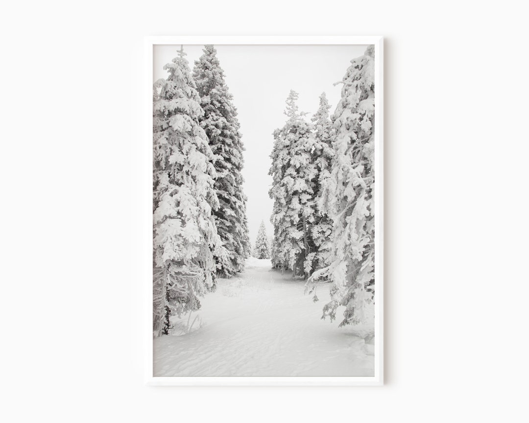 Winter Forest Art Snow Photography Pine Tree Print Winter Wall Decor ...