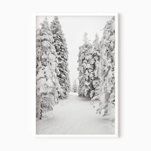 Winter Forest Art Snow Photography Pine Tree Print Winter Wall Decor Christmas Print Winter Landscape Forest Photograph   #0589