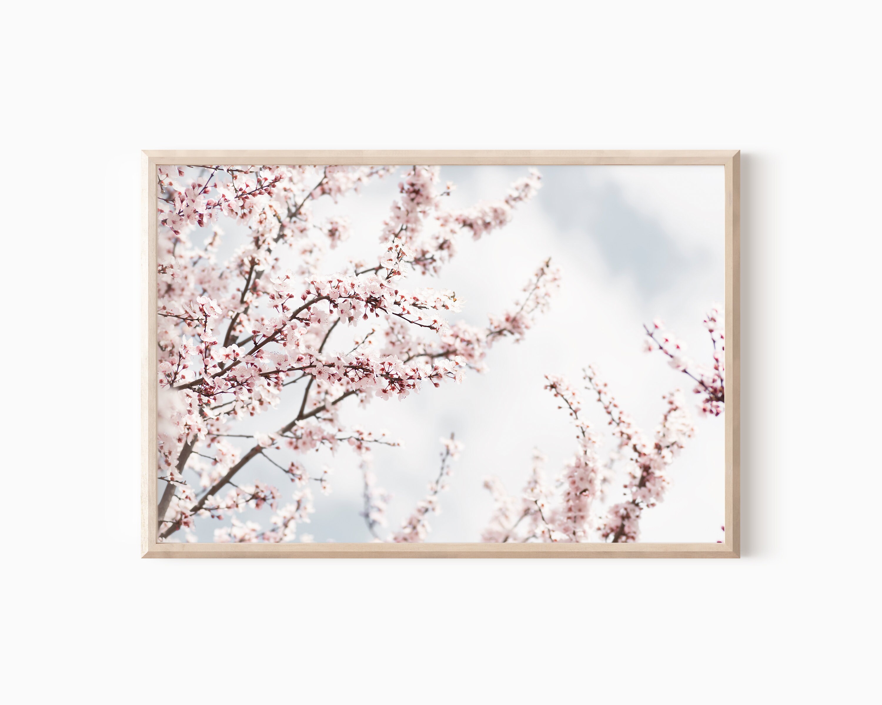 Cherry Blossom Print | Pink Cherry Blossom Art | Japan Inspired Art ...