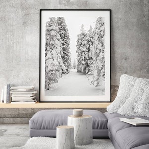 Winter Forest Art Snow Photography Pine Tree Print Winter Wall Decor ...