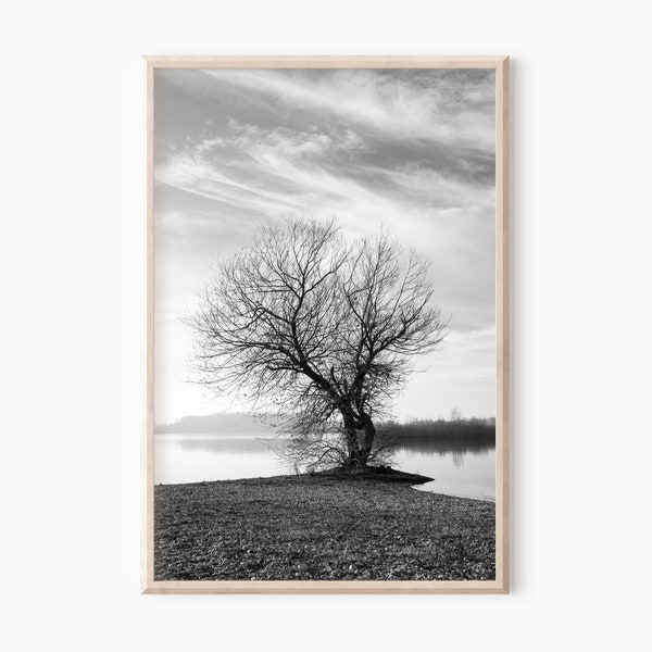 Black And White Tree Print | Lake Landscape Printable Art   #0045bw