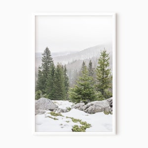 May include: A snowy mountain landscape with evergreen trees in the foreground. The trees are clustered together and the snow covers the ground. The mountains in the background are covered in fog.
