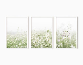 Botanical Print Set Of 3 | Printable Wall Art | Digital Print  #1018