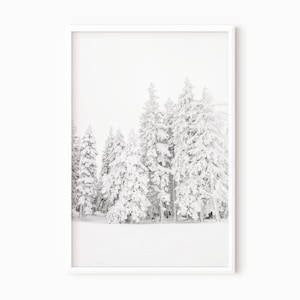 Snowy Forest Print | Snow Covered Pine Trees | Printable Wall Art | Mountain Forest Instant Download    #0628