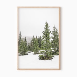 Winter Pine Forest Printable Wall Art | Holiday Decor | Snow Landscape Art | Nordic Wall Decor | Downloadable Winter Photography   #1089