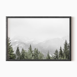 May include: A black framed photograph of a snowy mountain range with a line of evergreen trees in the foreground.