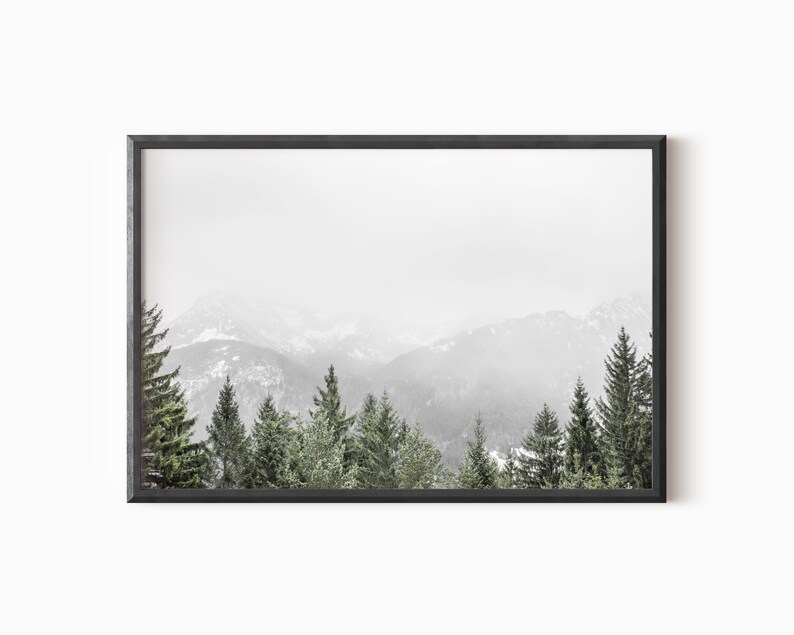 May include: A black framed photograph of a snowy mountain range with a line of evergreen trees in the foreground.