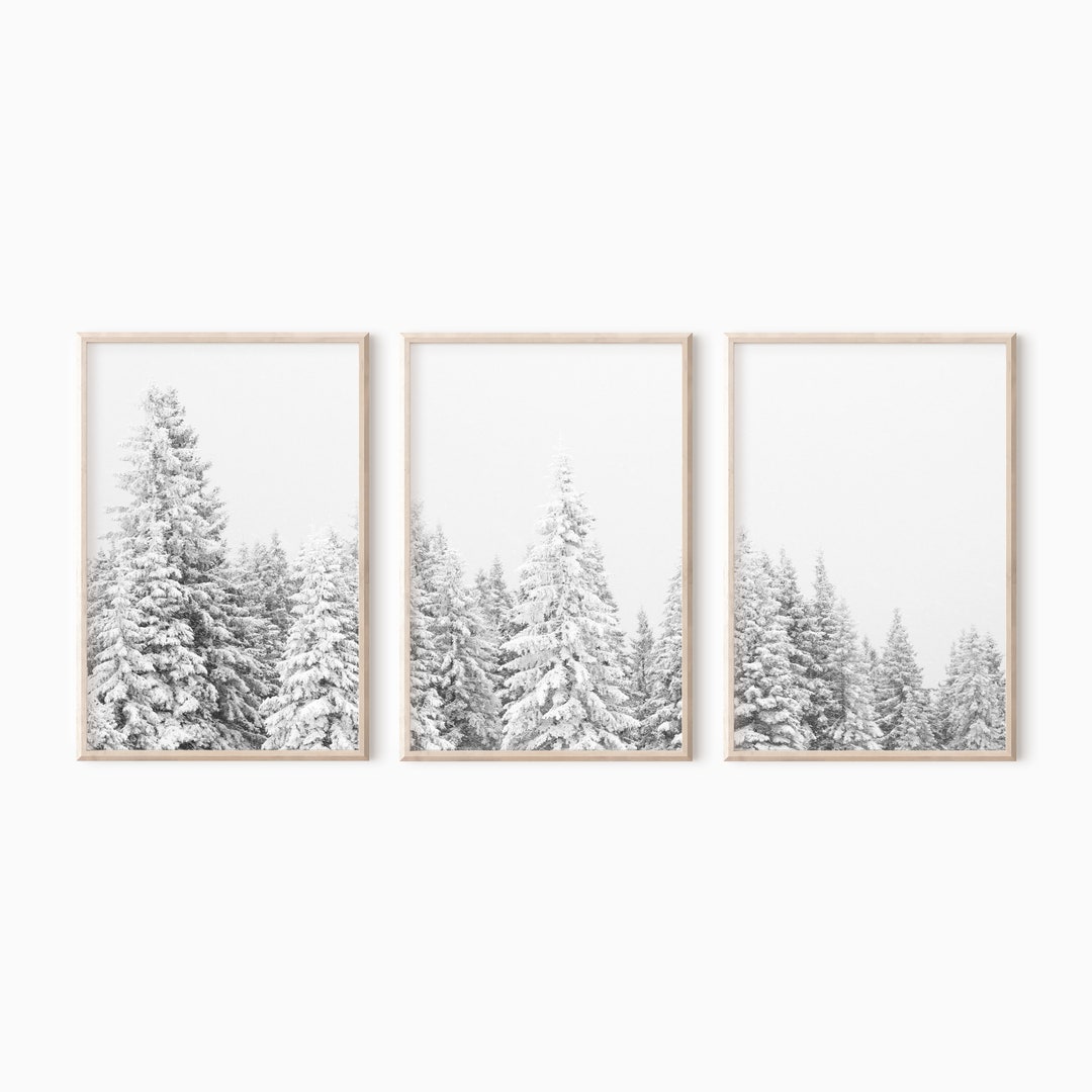 Snowy Pine Trees Set of 3 Prints | Winter Photography | Nordic Decor ...