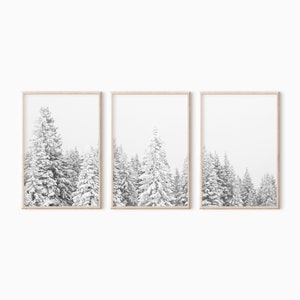Snowy Pine Trees Set Of 3 Prints | Winter Photography | Nordic Decor | Christmas Wall Art | Winter Print Set  #0401bw