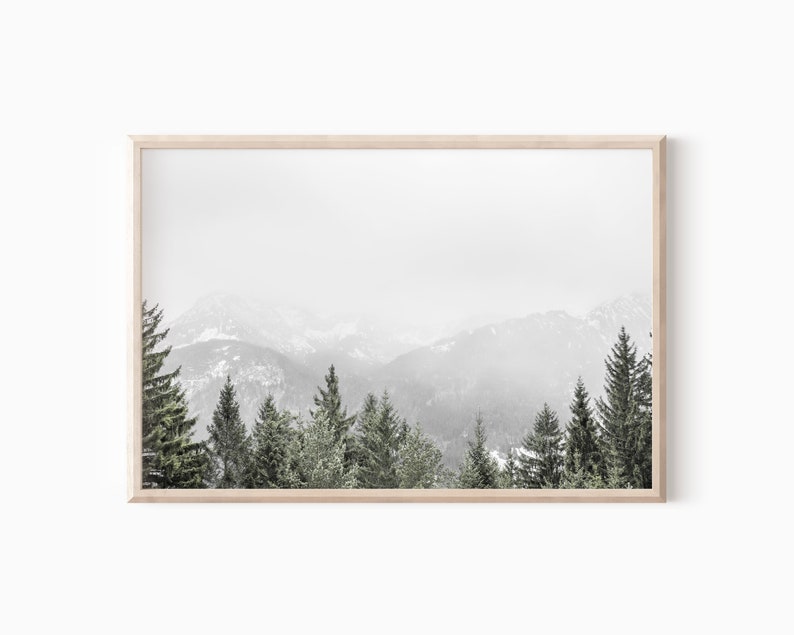 May include: A black and white photograph of a snowy mountain range with a line of evergreen trees in the foreground.