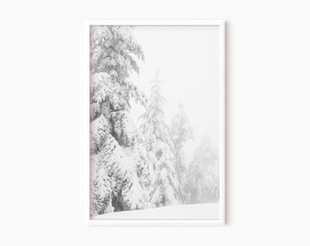 Winter White Forest Print DOWNLOAD | Snowy Trees | Christmas Wall Art | Winter Wonderland | Printable Holiday Art | Digital Print  #1431