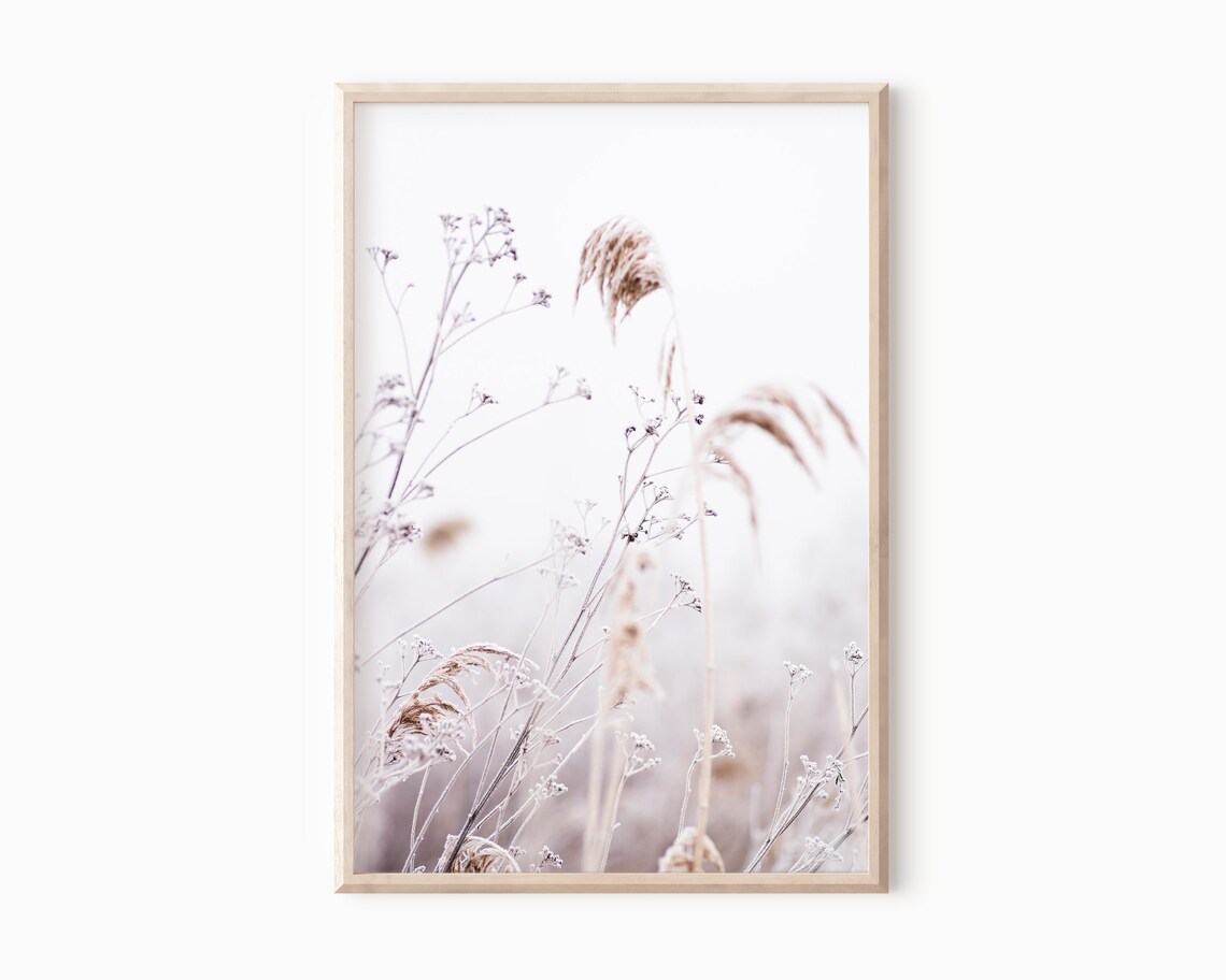 Pampas Grass Print Neutral Printable Art Neutral Botanical | Etsy