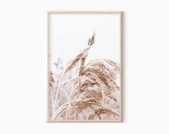 Field Grass Print | Neutral Color Printable Wall Art   #0722