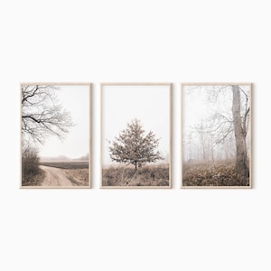 May include: A set of three framed prints featuring muted brown tones. The prints depict a single tree in a field, a path leading through a field, and a forest scene with bare branches.