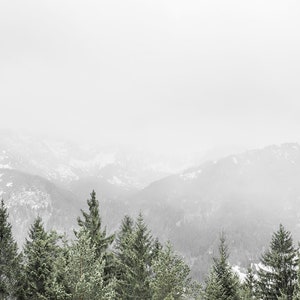 May include: A snowy mountain range with a line of evergreen trees in the foreground. The mountains are covered in snow and the sky is a light gray.