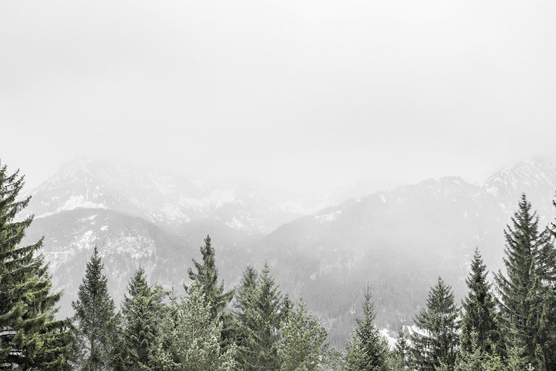 May include: A snowy mountain range with a line of evergreen trees in the foreground. The mountains are covered in snow and the sky is a light gray.
