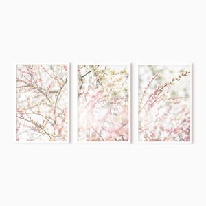 Flower Wall Art | Set Of 3 Prints | Cherry Blossom Art | Japanese Print | Sakura Wall Art | Floral Art Prints | DIGITAL ART  #1022