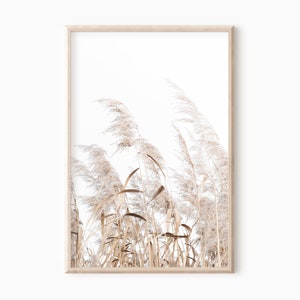 Pampasgras Poster | Bauernhaus druckbare Kunst | Sofortiger Download #0719 Bild 1