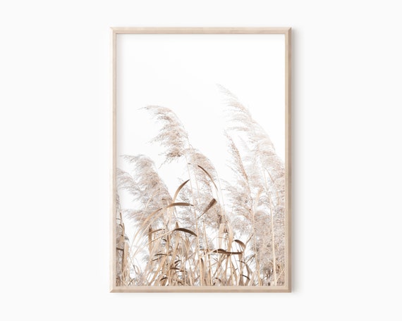 Pampas Grass Print | Farmhouse Printable Wall Art | Instant Download   #0719