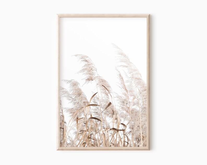 Pampasgras Poster | Bauernhaus druckbare Kunst | Sofortiger Download #0719 Bild 1