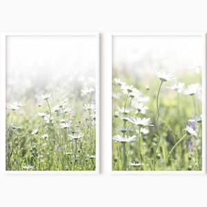 May include: Two framed prints of a field of white daisies in a soft, dreamy, and blurred background. The daisies are in focus and the background is out of focus. The prints are in white frames.