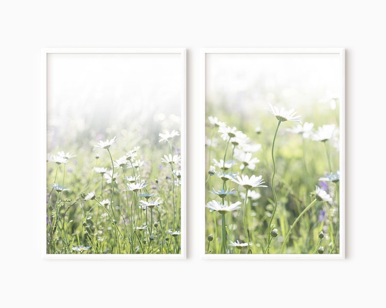 May include: Two framed prints of a field of white daisies in a soft, dreamy, and blurred background. The daisies are in focus and the background is out of focus. The prints are in white frames.