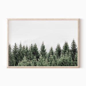 May include: A framed print of a minimalist landscape featuring a row of evergreen trees against a white, cloudy sky.