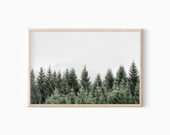 Kiefernwald Wandkunst | Natur Fotografie zum Ausdrucken #0994