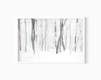 TÉLÉCHARGER Impression forêt hivernale | Poster de Noël imprimable | Paysage d'hiver enneigé | Impression numérique #1429
