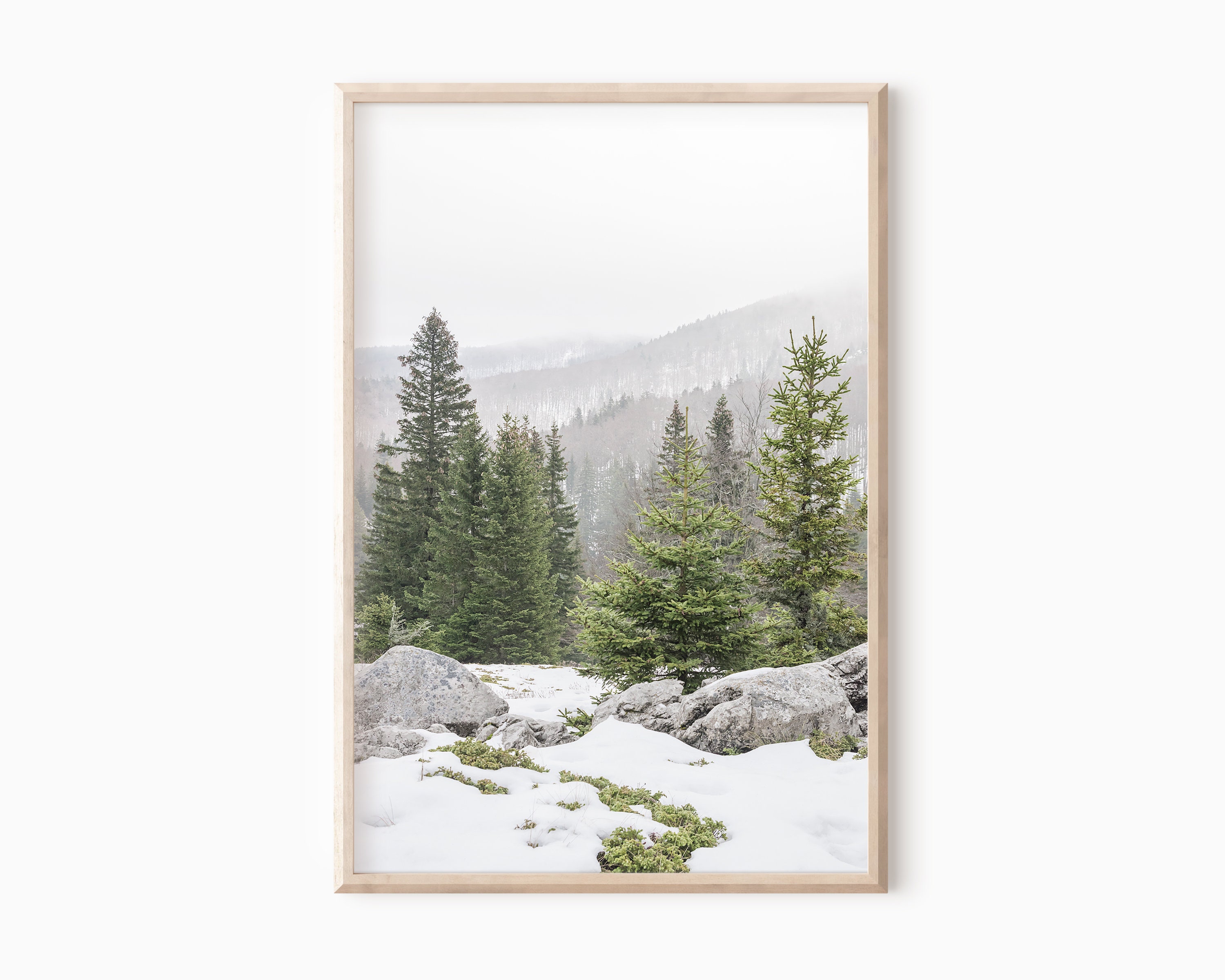 Winter Forest Wall Art Winter Photography Digital Download Etsy