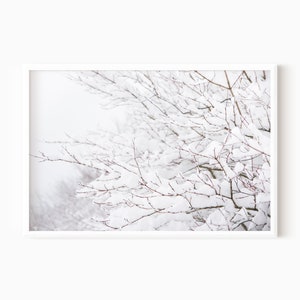 Winter Forest Print | Snowy Landscape Wall Art | Printable Forest Tree Art | Instant Download    #0621